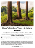 Kauai Magazine - Spring 2024 Issue